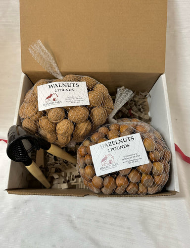 Nut Cracker Gift Box