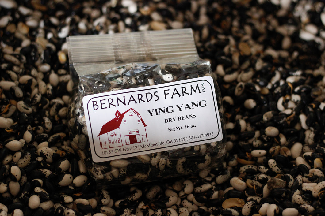 Yin Yang Beans